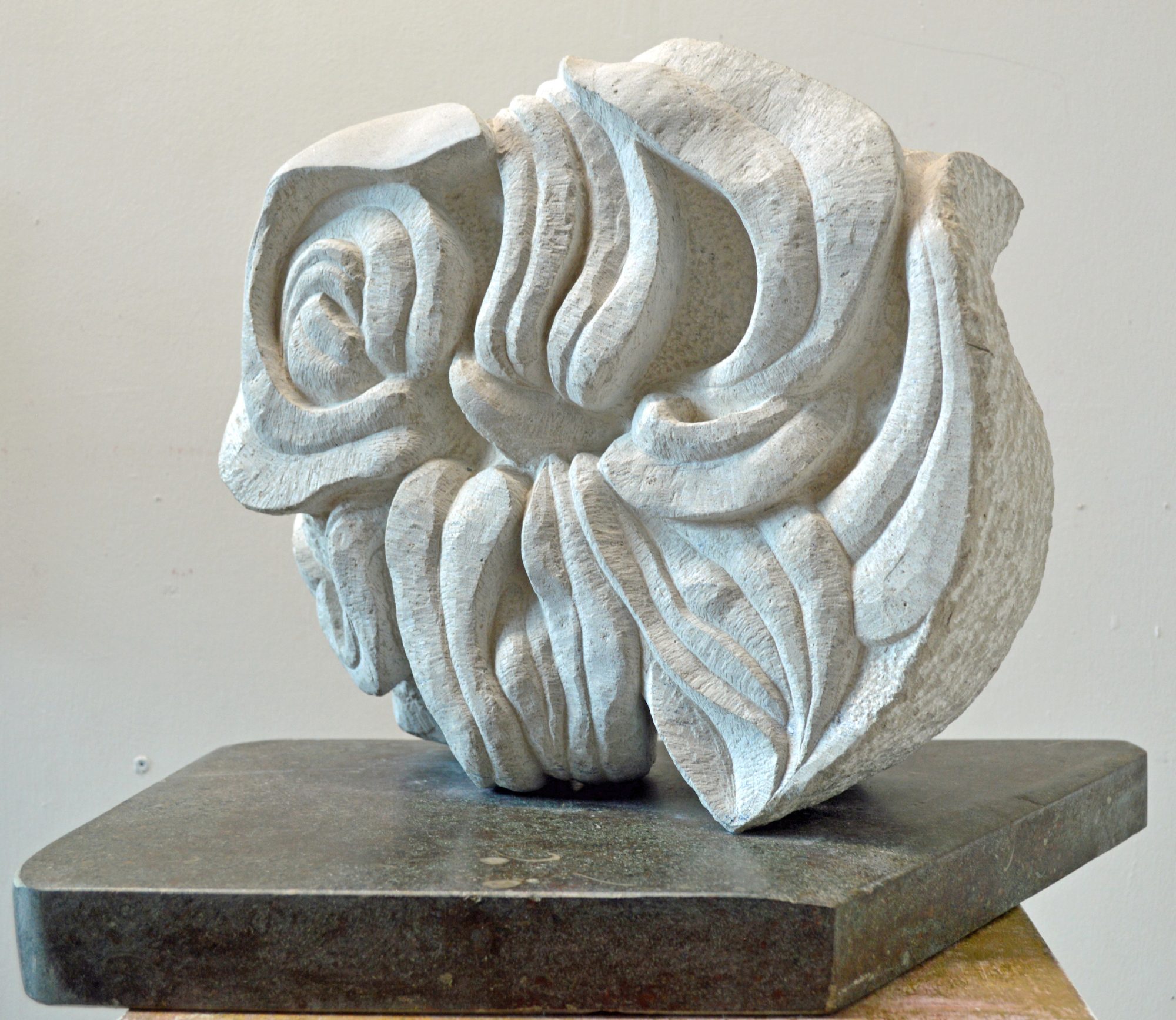 References a spider plant - an example of a plant which cleans air